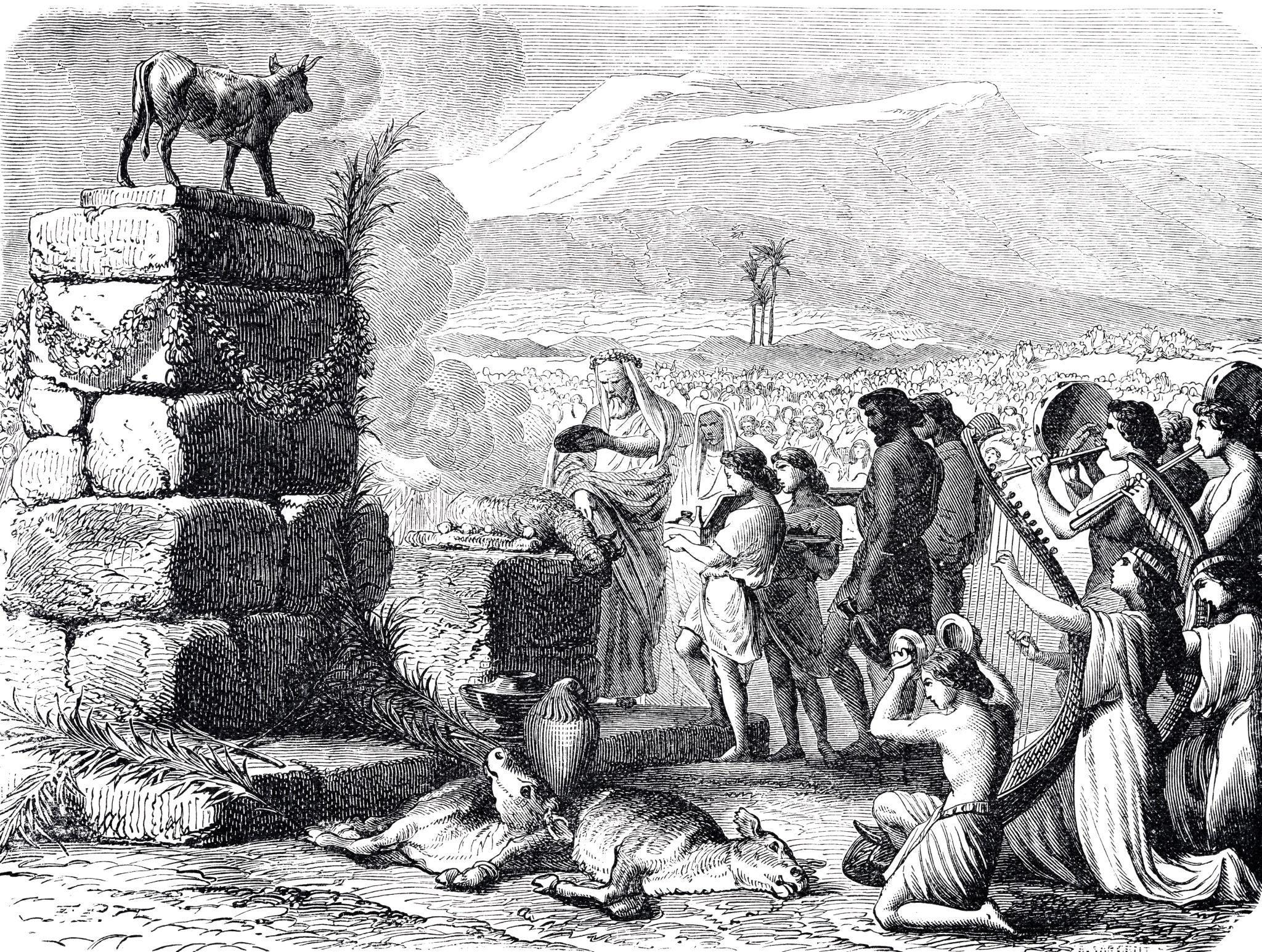 Images that Strike At the Vitals